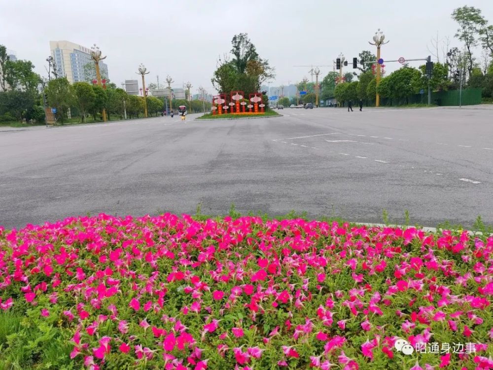 鎮(zhèn)雄南部新區(qū)最新動態(tài)，鄰里間的溫情故事展現(xiàn)溫情鄰里關(guān)系