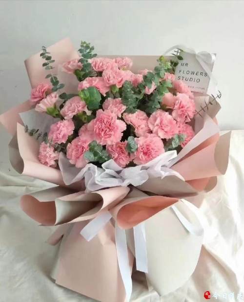 康乃馨價格走勢揭秘，市場趨勢、影響因素與選購指南