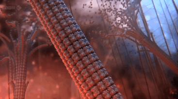 全國病毒感染最新動態(tài)，自然美景呼喚你我共賞