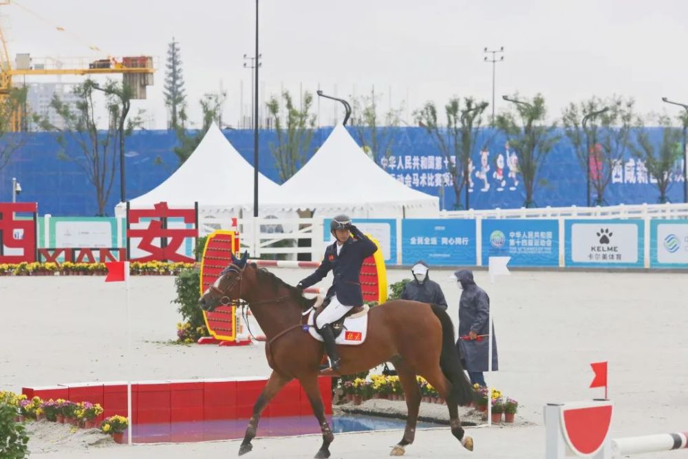 全運會馬術(shù)比賽直播，科技與生活的精彩交匯點