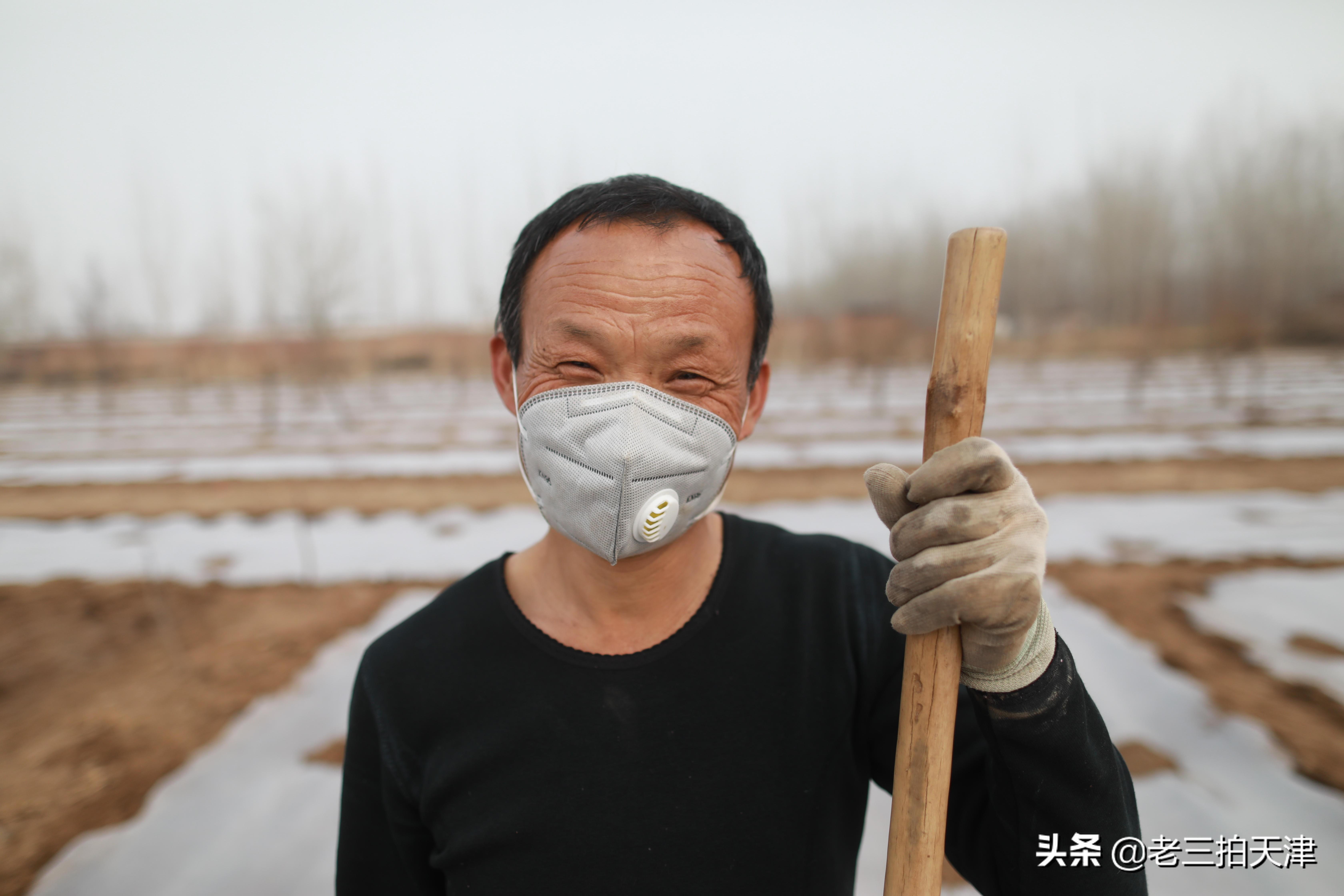 楊柳青大柳灘最新進展更新