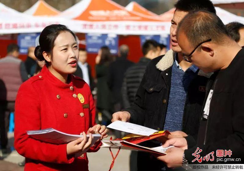 眉山東坡區(qū)最新職位招聘，職場(chǎng)人的首選選擇