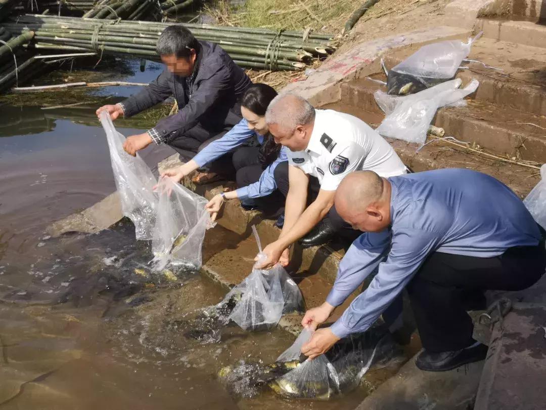 瀘州納溪規(guī)劃賠償信息,瀘州納溪規(guī)劃賠償信息解讀