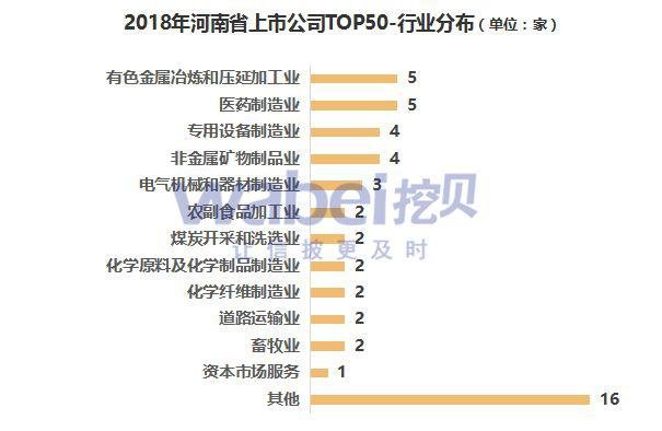 河南上市公司一覽，企業(yè)上市全景解析