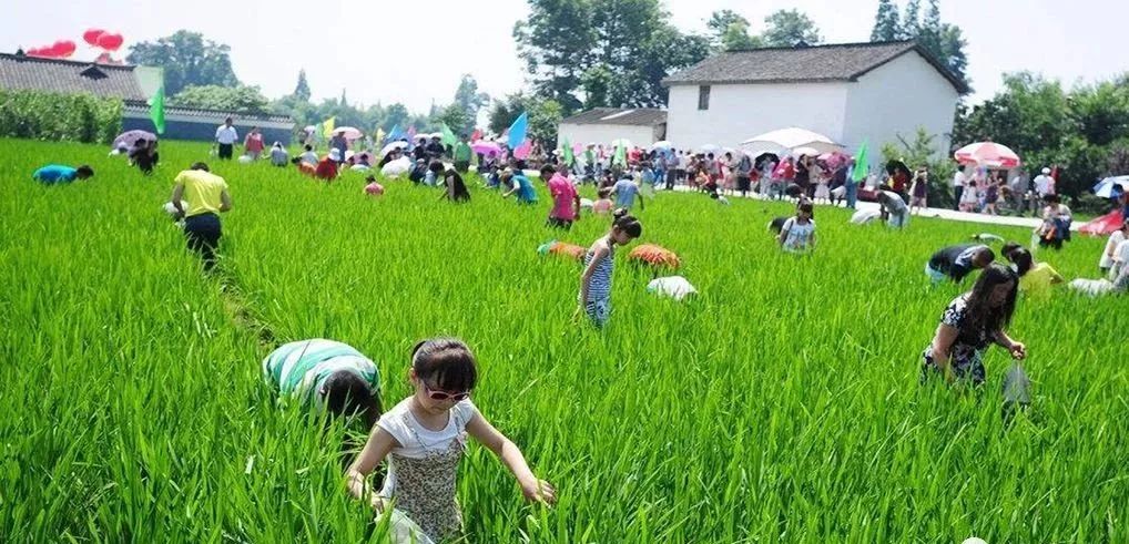 郫都區(qū)紅光鎮(zhèn)繁榮發(fā)展的最新動(dòng)態(tài)與時(shí)代印記