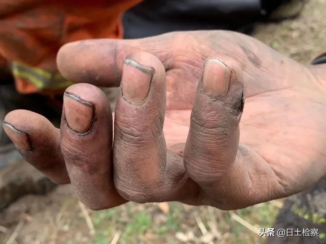 林芝山火最新消息更新，最新動(dòng)態(tài)揭秘