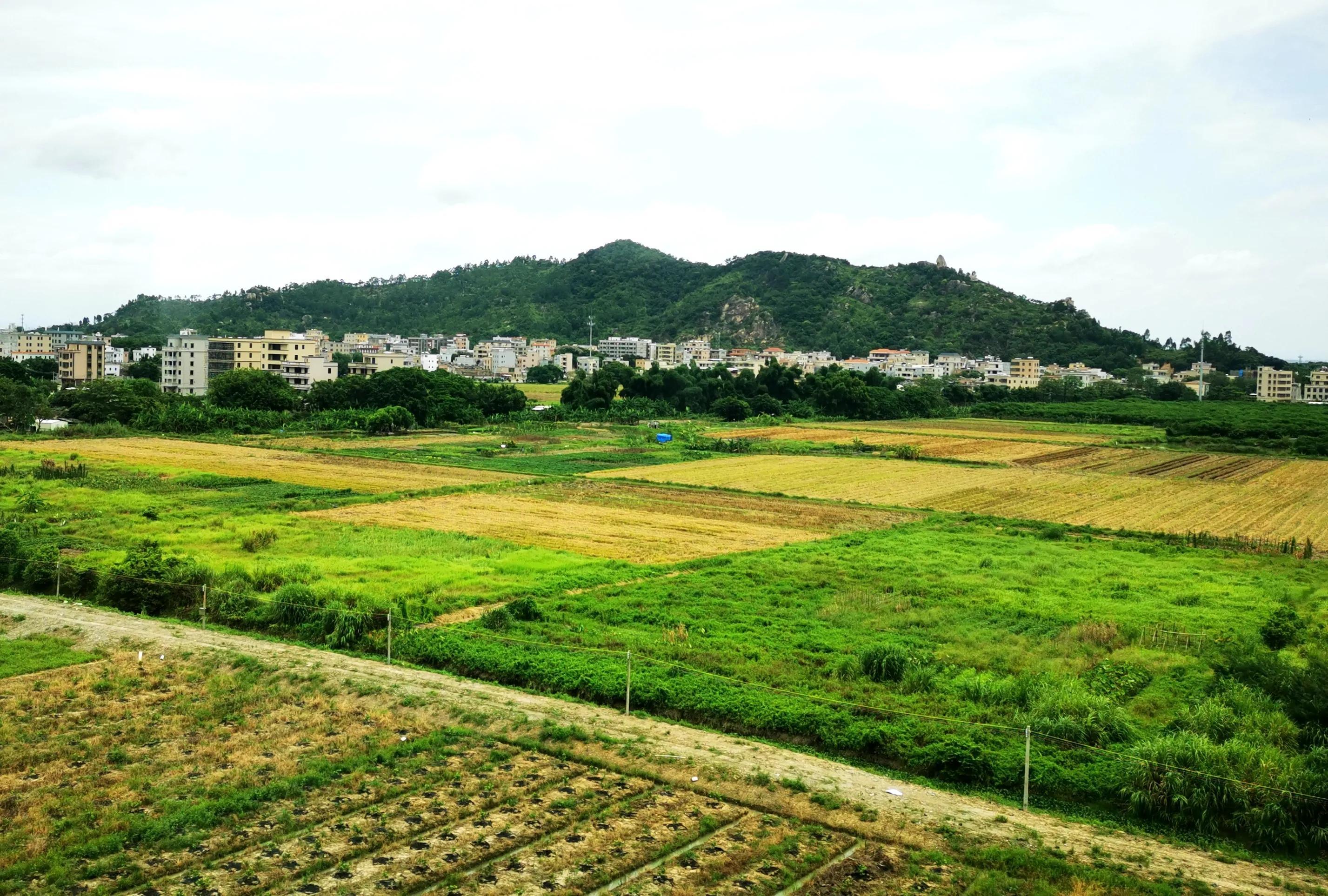 廈門至深圳高鐵提速最新動(dòng)態(tài),廈門至深圳高鐵提速最新動(dòng)態(tài)，速度與情感的雙重旅程