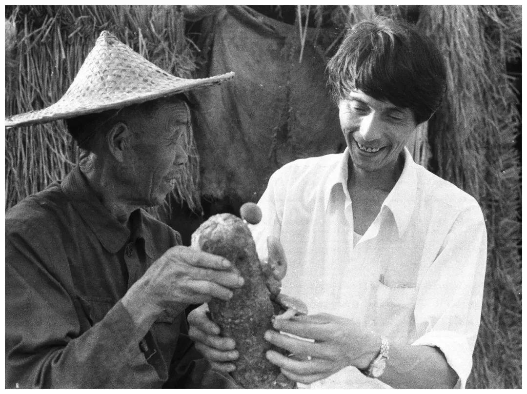 遍地英雄電視劇，小巷深處的英雄與特色小店