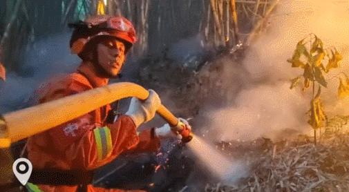 璧山動(dòng)態(tài)，引領(lǐng)未來的高科技產(chǎn)品體驗(yàn)之旅