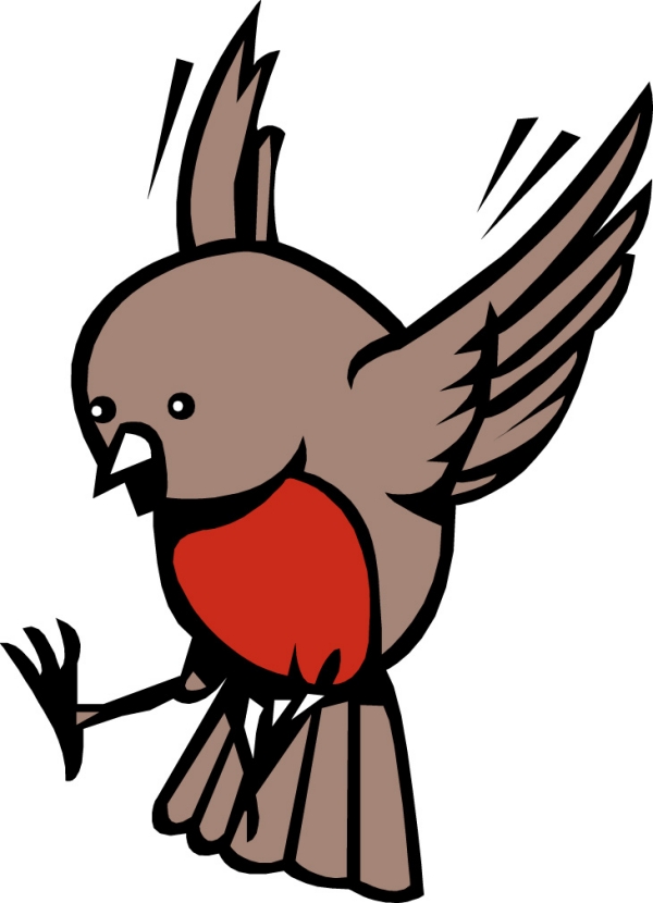 動(dòng)漫鳥圖片——彩虹之巔的夢(mèng)幻飛翔世界