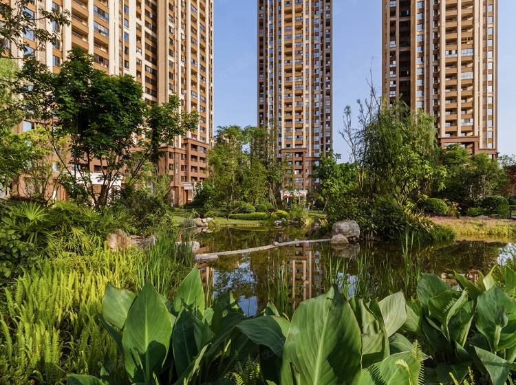 北湖國際城最新房?jī)r(jià)信息與自然美景探索之旅