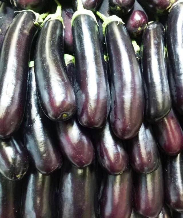 長茄最新價格行情動態(tài)更新