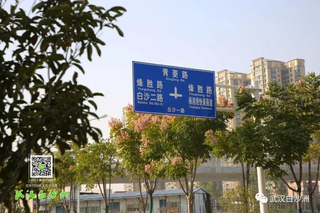 武漢白沙二路最新動態(tài)更新及消息速遞