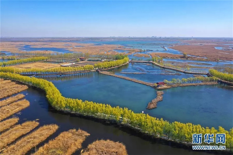 雄安新區(qū)公司最新動態(tài)更新