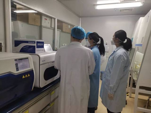 全球關(guān)注下的非典最新資訊與觀點(diǎn)分析