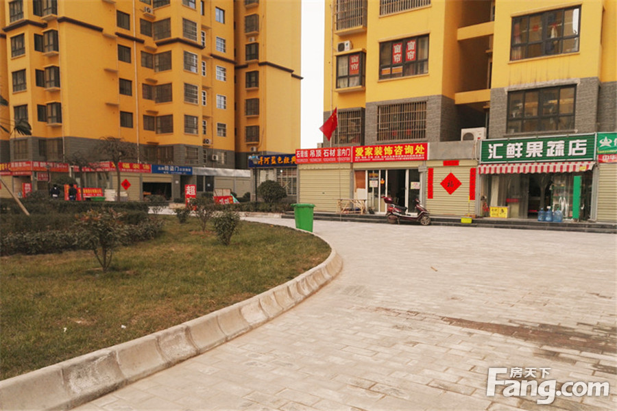 北沙口紫境城動態(tài)更新,北沙口紫境城的溫馨日常