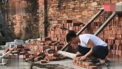 搬磚小偉最新動(dòng)態(tài)揭秘，大自然中的治愈之旅