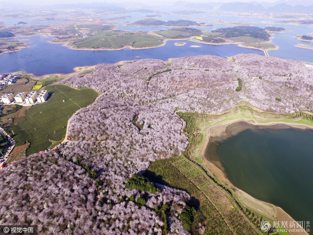 平壩區(qū)最新資訊??