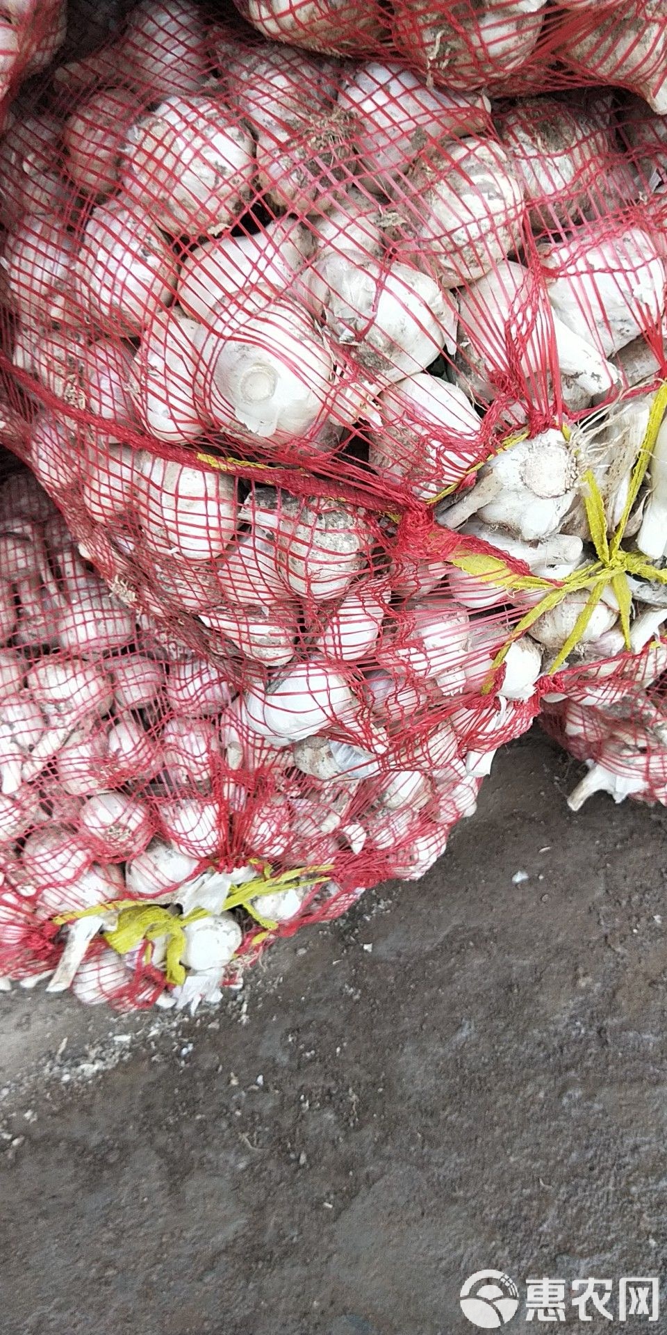 射陽(yáng)大蒜最新價(jià)格行情及市場(chǎng)趨勢(shì)深度解析