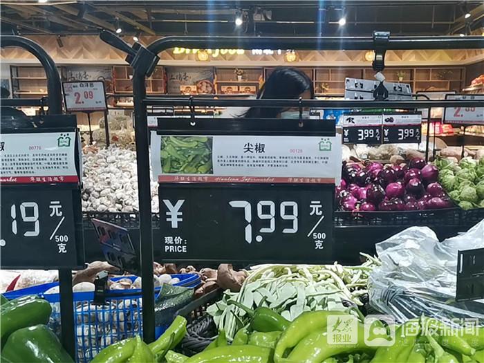 黃瓜市場價格動態(tài)分析或更新報告