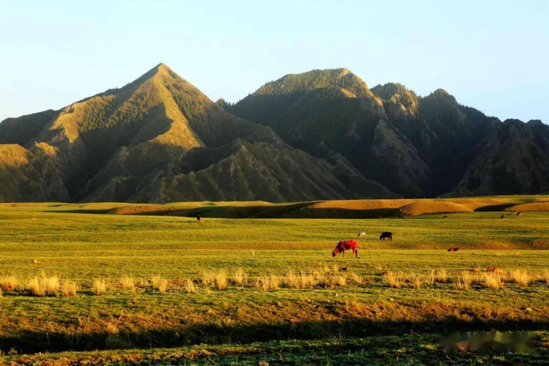 abcde五位同學的智慧與策略象棋大戰(zhàn)