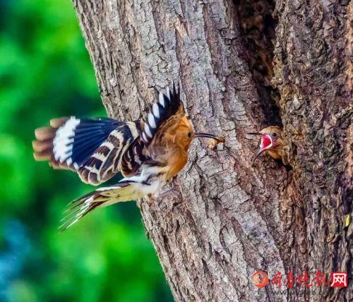 濟(jì)南黑老大科技產(chǎn)品介紹及最新動(dòng)態(tài)