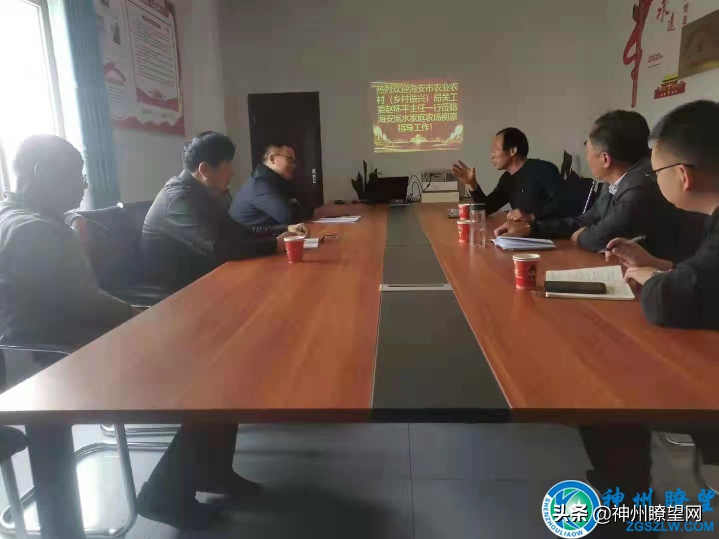 江蘇泰興黃橋最新規(guī)劃深度解析與觀點論述