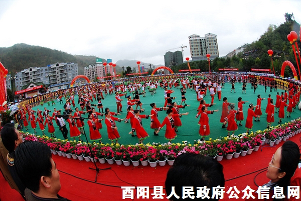 酉陽貼吧小巷深處的獨特風(fēng)味特色小店最新消息探索指南