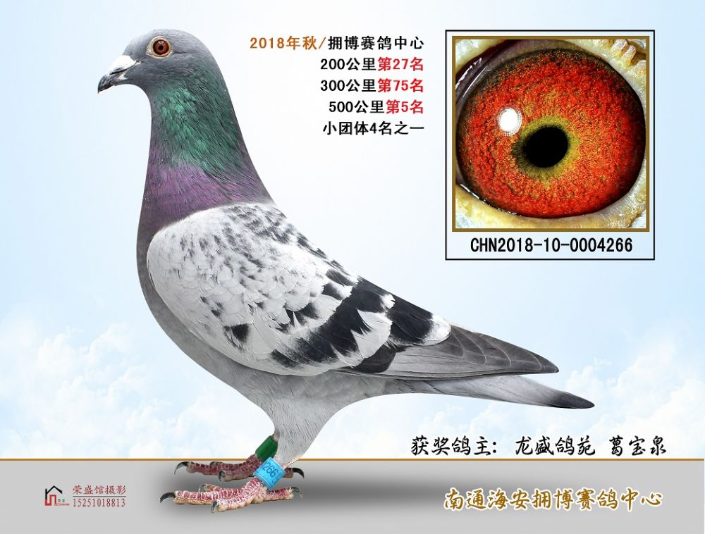 超信公棚最新動態(tài)及觀點論述揭秘