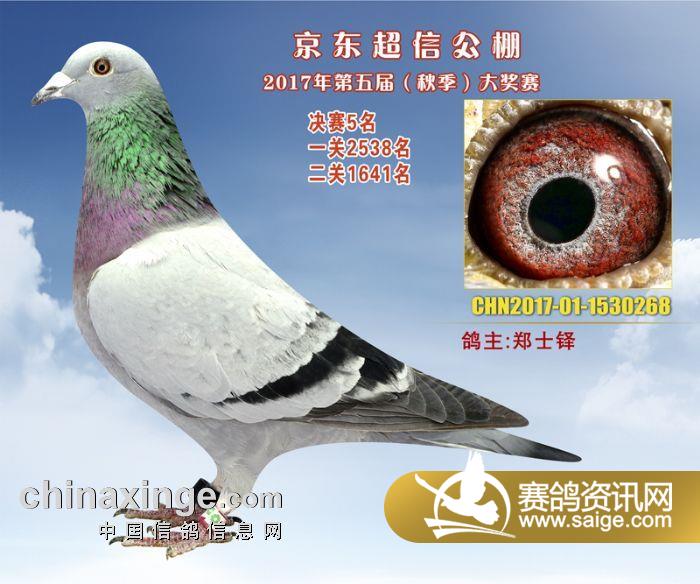 超信公棚最新動態(tài)及觀點論述揭秘