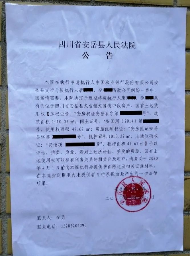 安岳亮劍行動(dòng)最新動(dòng)態(tài)深度分析與觀點(diǎn)闡述