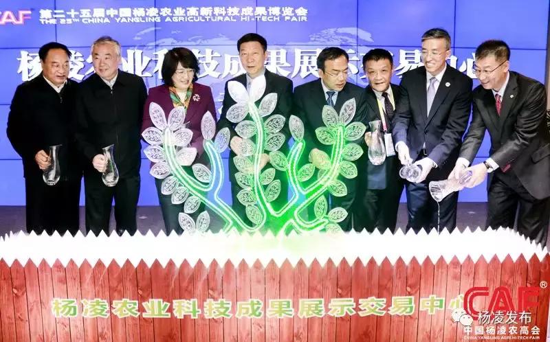 楊凌新聞網(wǎng)最新消息,小鎮(zhèn)趣事與友情的溫馨紐帶展現(xiàn)風(fēng)采