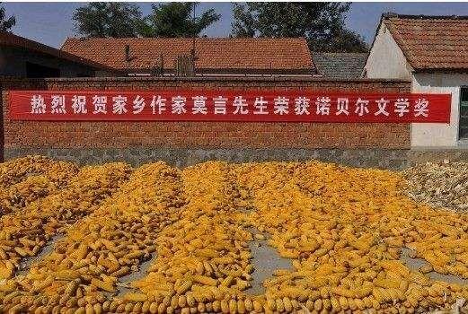 最新高密二手平房出售信息