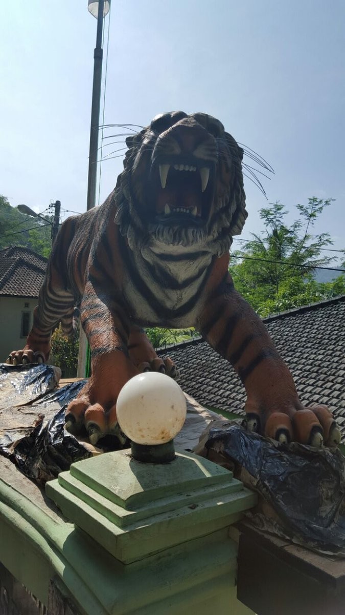 揭秘當(dāng)代軍事領(lǐng)袖虎帥的風(fēng)采與戰(zhàn)略洞察力