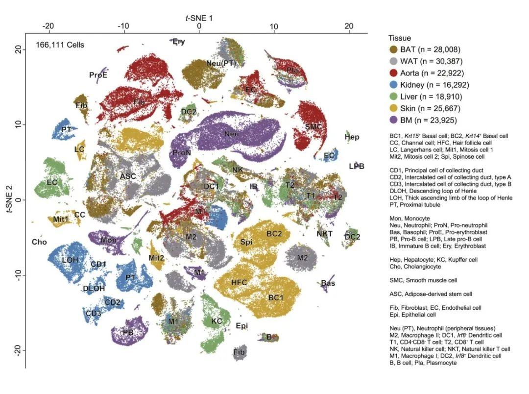 骨髓研究最新進(jìn)展與深度了解學(xué)習(xí)指南