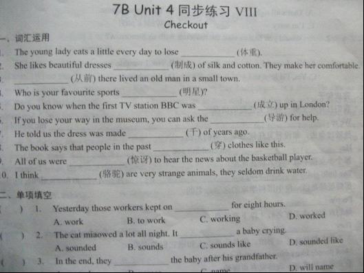 最新英語作業(yè)論述詳解
