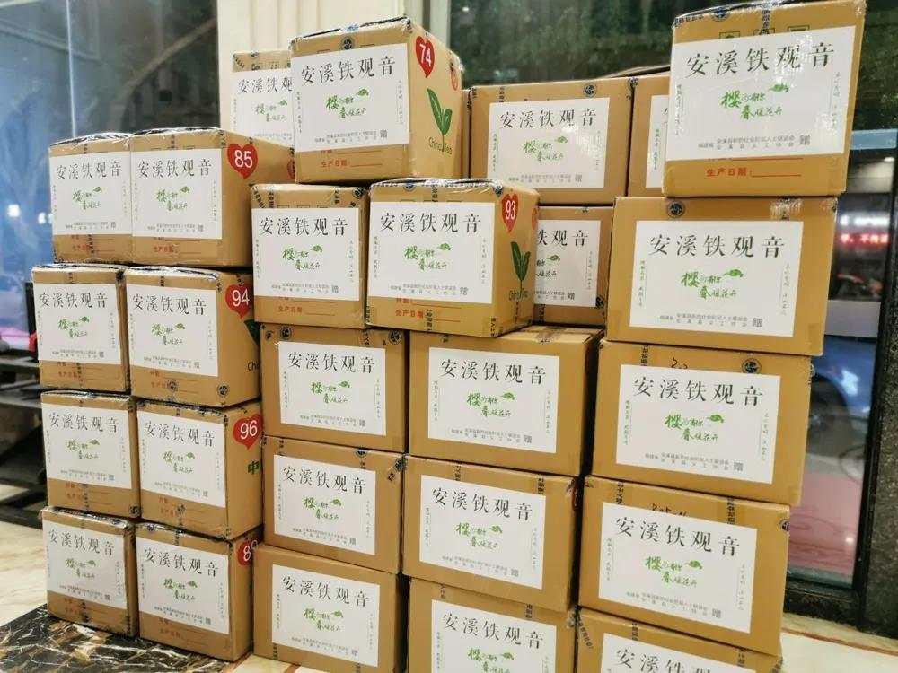 安溪病毒最新論述解析