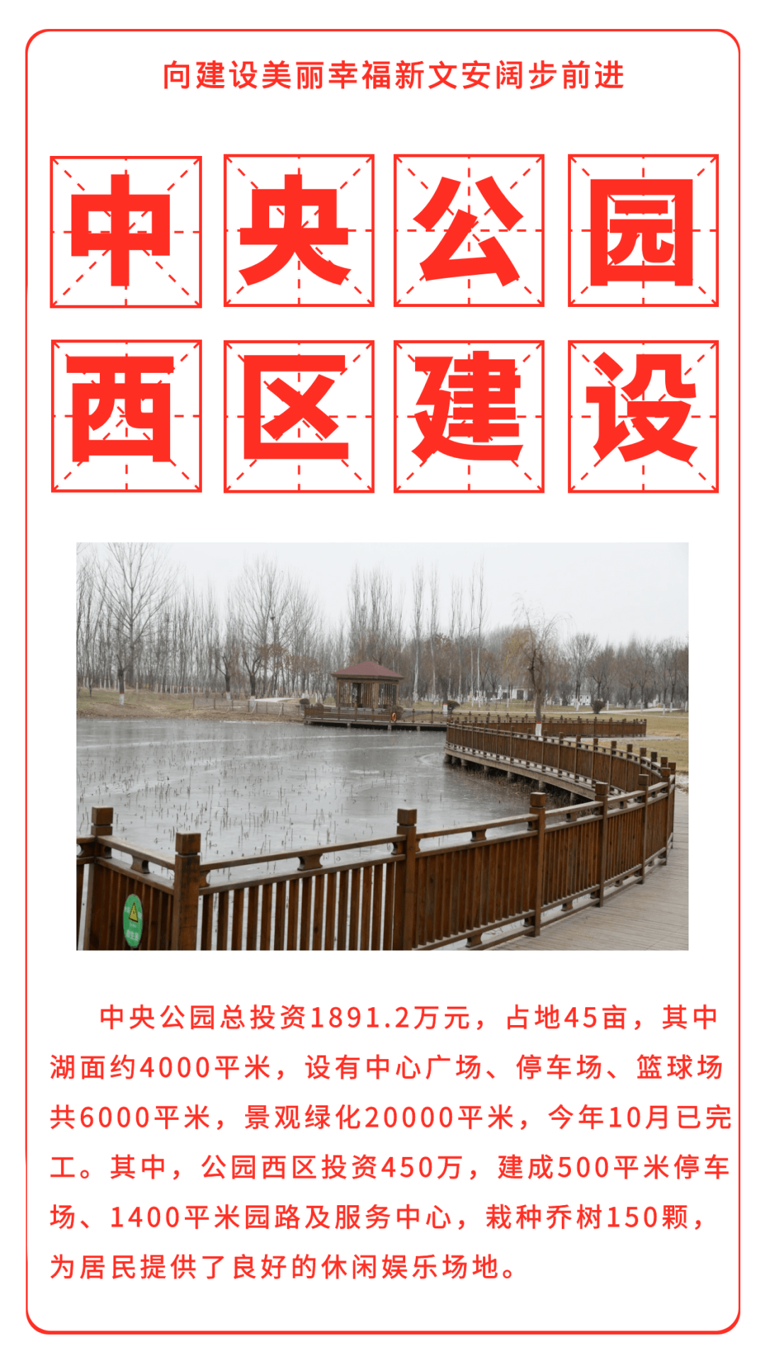 最新文安觀點(diǎn)闡述與分析概覽