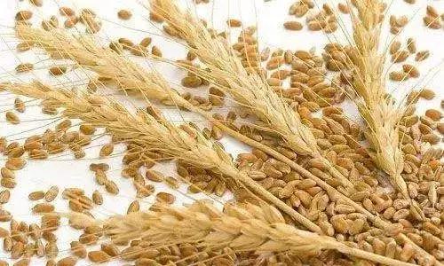 最新豆油報價獲取指南及市場行情分析