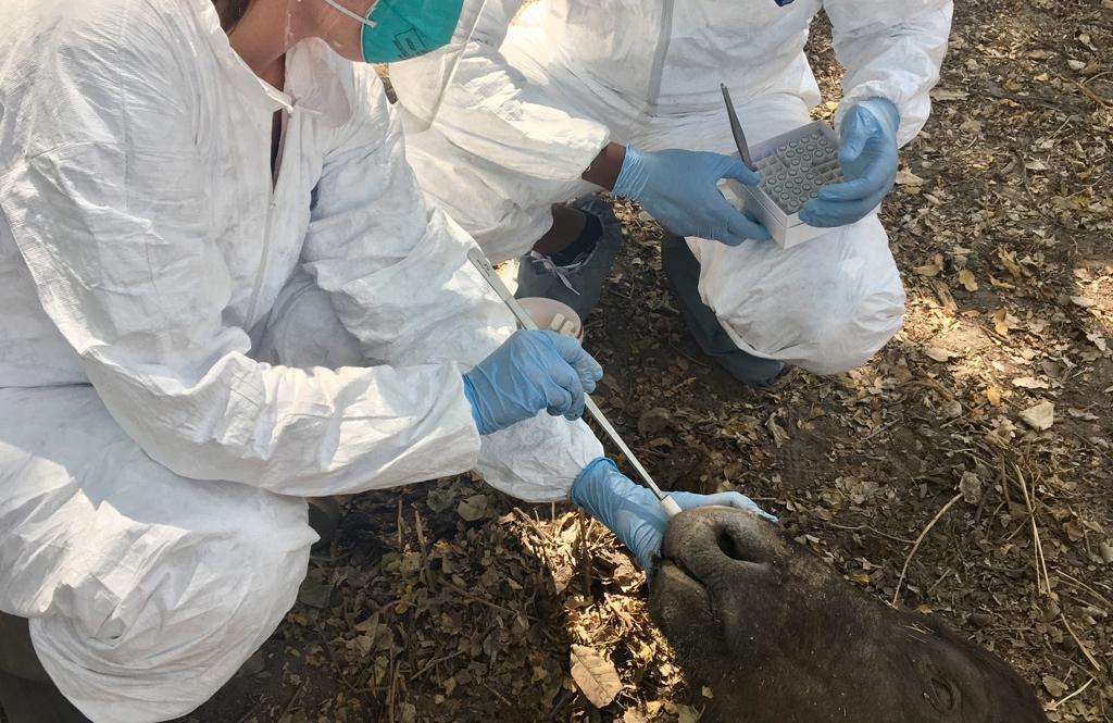 俄國(guó)最新疫情概述及動(dòng)態(tài)分析