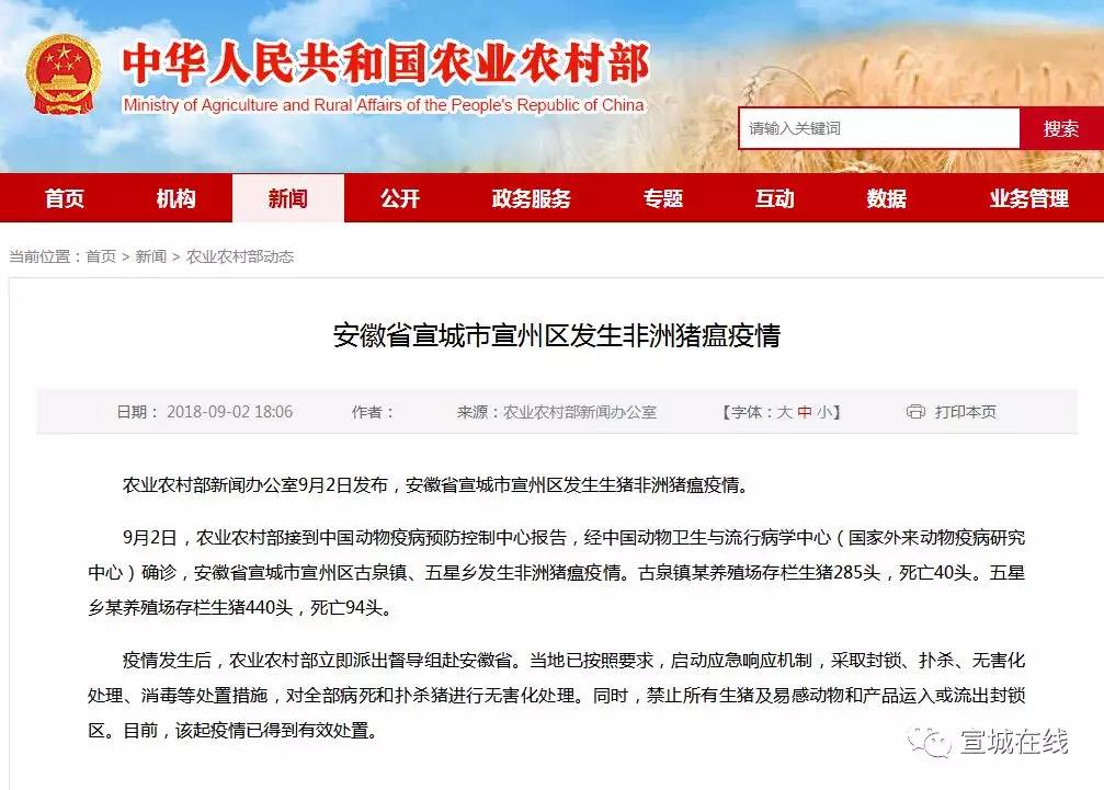 疫情最新動(dòng)態(tài)與小巷深處的特色小店故事