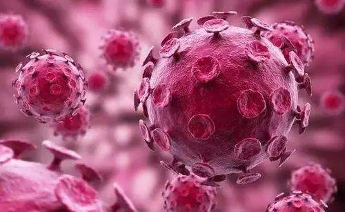 最新案例病毒深度解析與應(yīng)對策略