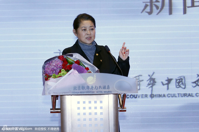 倪萍最新捐款與小巷深處的特色小店探秘