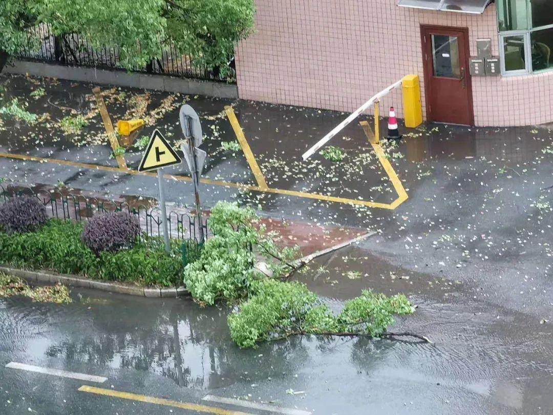 福建暴雨下的溫馨日常故事
