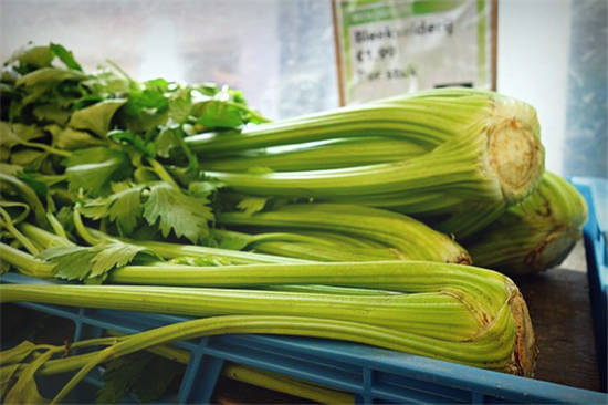 芹菜價(jià)格最新行情及分析