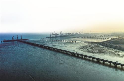 嘉興港區(qū)房價(jià)最新動態(tài)與市場走勢分析