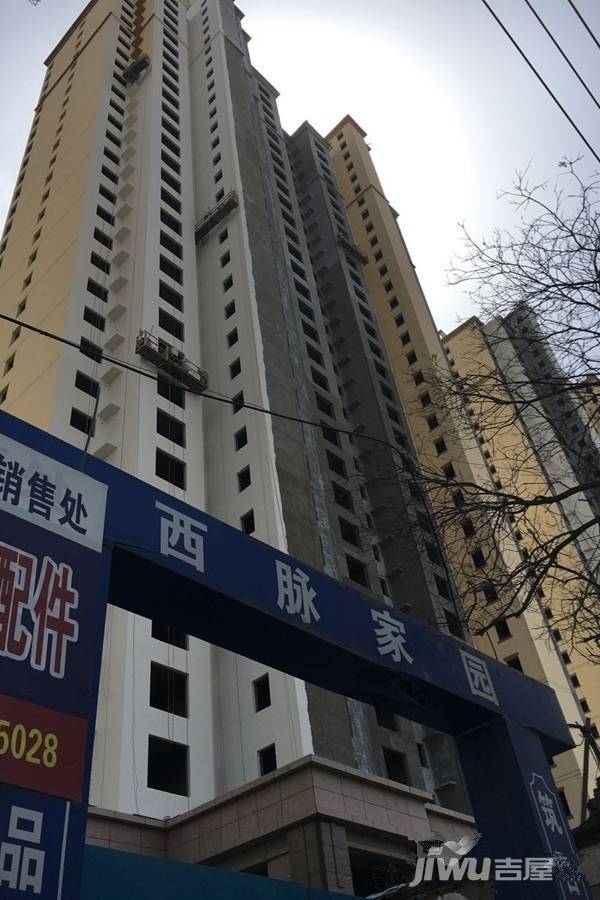 西脈家園最新動態(tài)更新