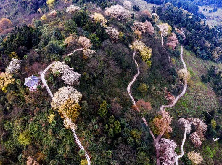 長壽區(qū)大洪湖最新動態(tài)及步驟指南