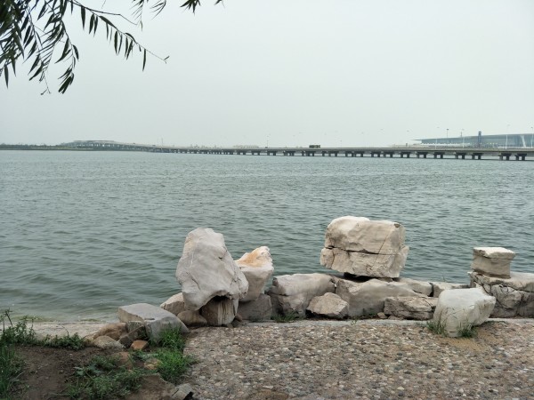 金海湖新區(qū)最新項(xiàng)目啟航，學(xué)習(xí)成就夢(mèng)想，共創(chuàng)未來征程