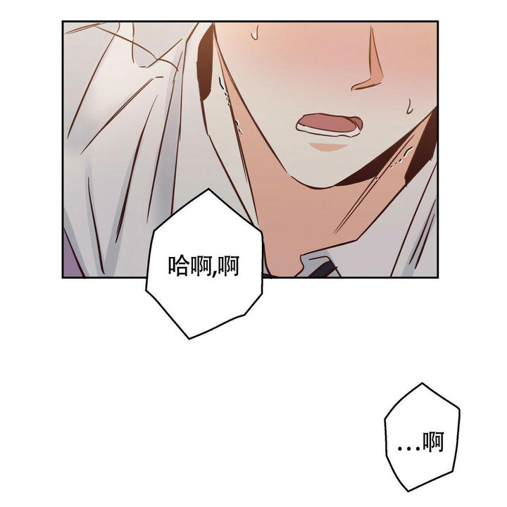 城市巷弄間的溫情日常，漫畫最新更新第155章